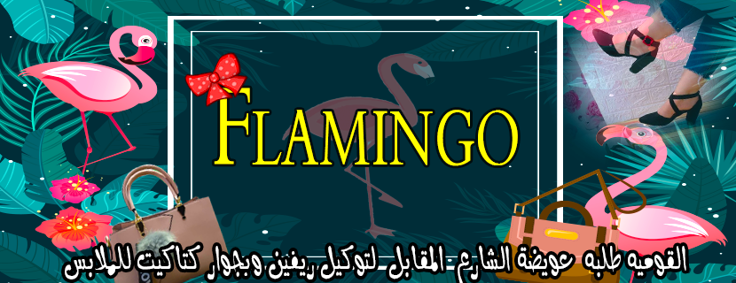 غلاف فلامينجو - Flamingo