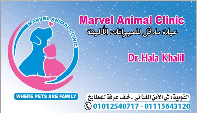 غلاف Marvel Animal Clinic