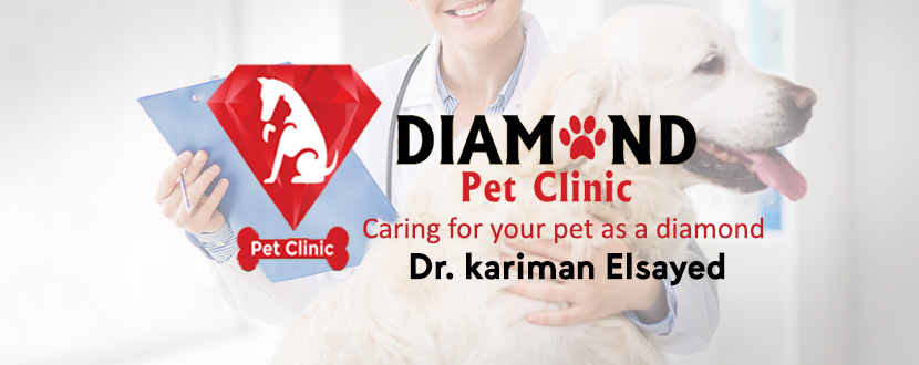 غلاف Diamond Pet Clinic عيادة بيطرية متخصصة لطب وجراحة الحيوانات الأليفة 