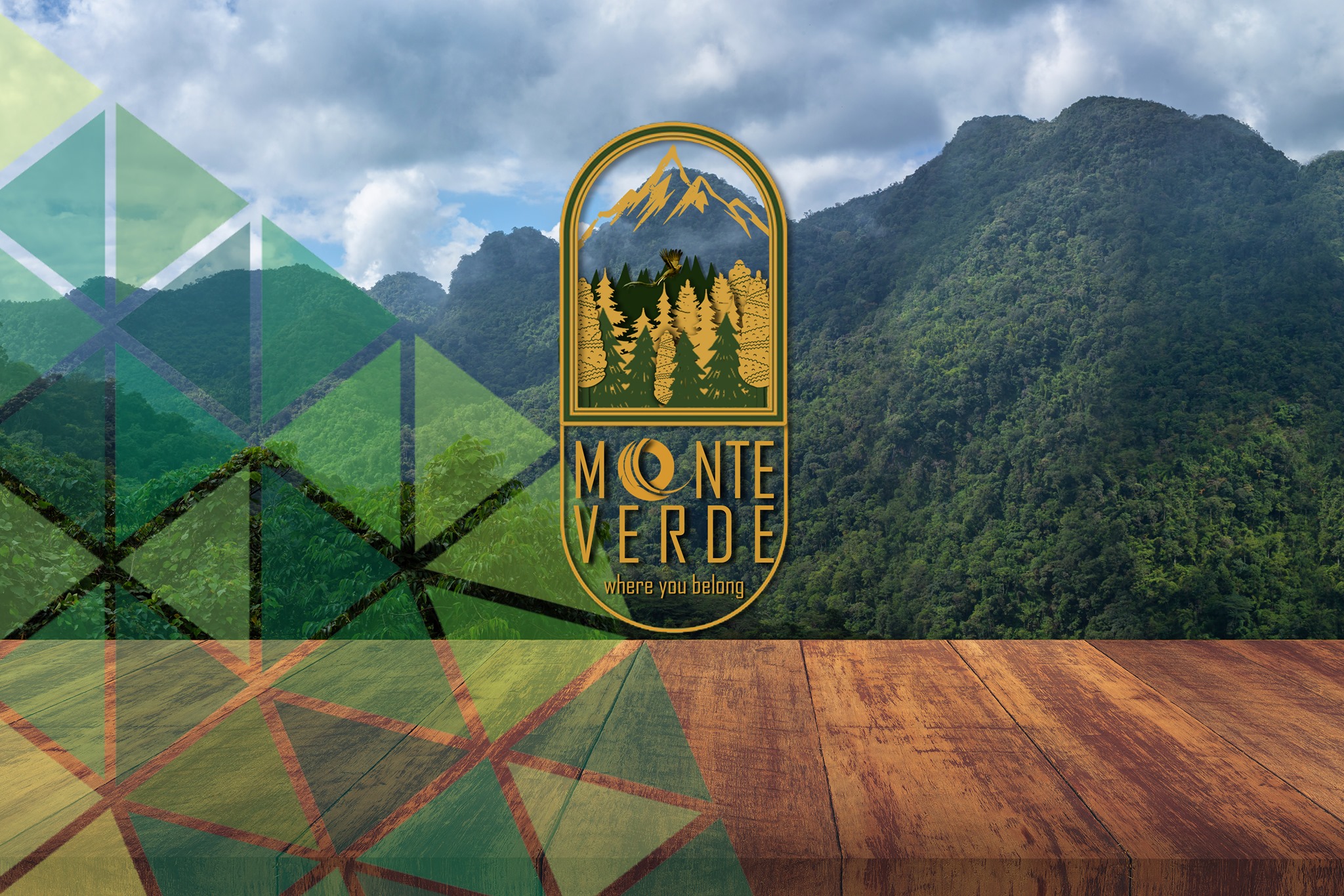 غلاف Monte Verde cafe