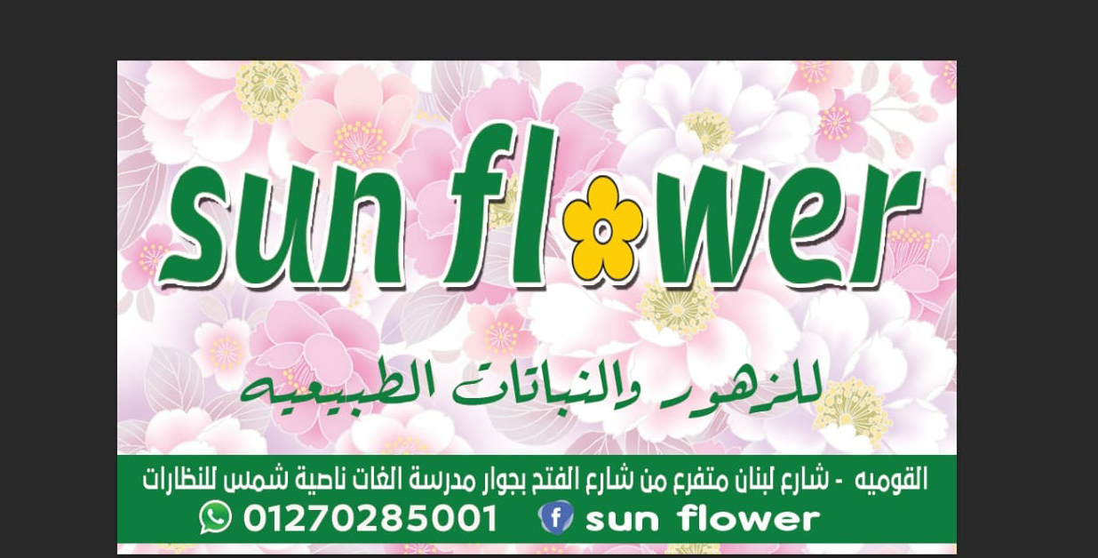 غلاف Sun flower store