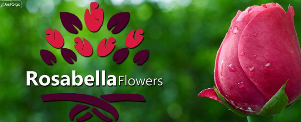 غلاف Rosabella flowers