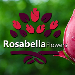 Rosabella flowers