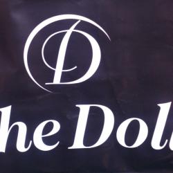 the doll