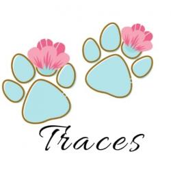 Traces Event Planner