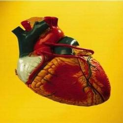 مركز الفؤاد لفحوصات القلب في الزقازيق