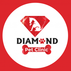 Diamond Pet Clinic عيادة بيطرية متخصصة لطب وجراحة الحيوانات الأليفة 