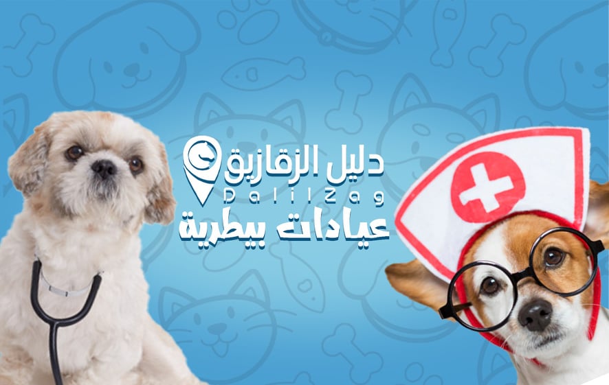 جميع ما يخص عالم الحيوانات 