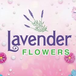 Lavender flowers zag