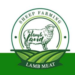 The lamb land